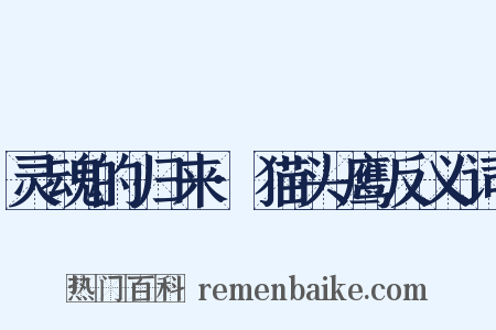 灵魂的归来·猫头鹰反义词是什么意思的图片